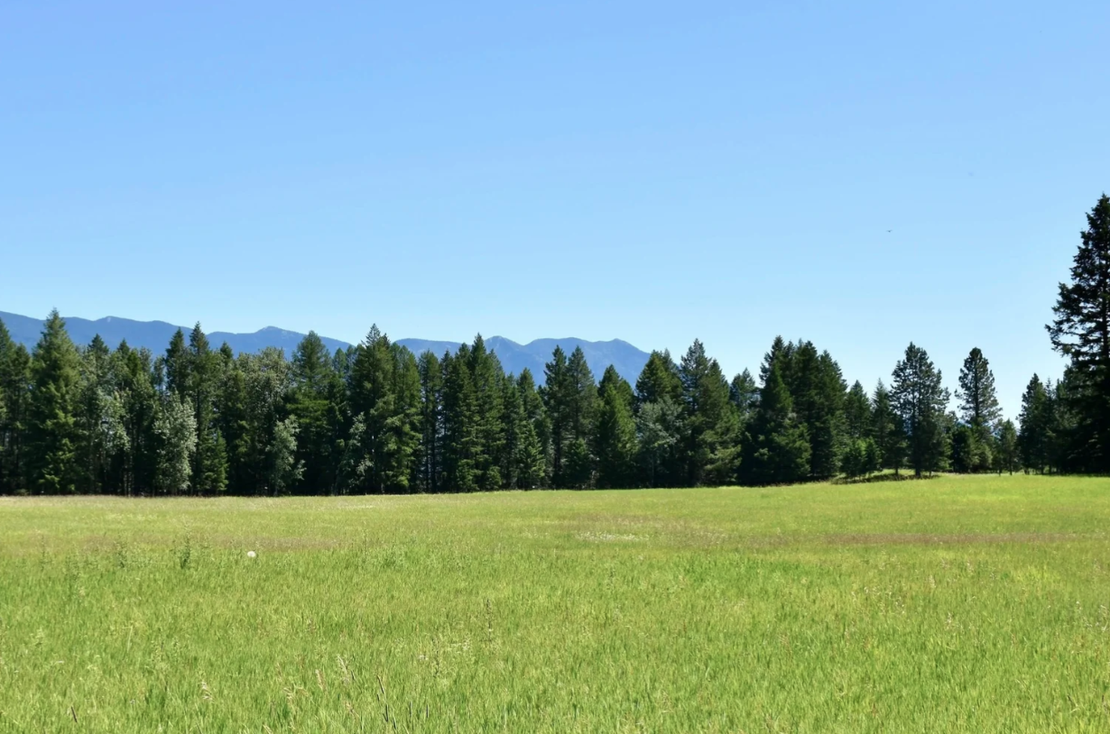 Whispering Pines RV Park