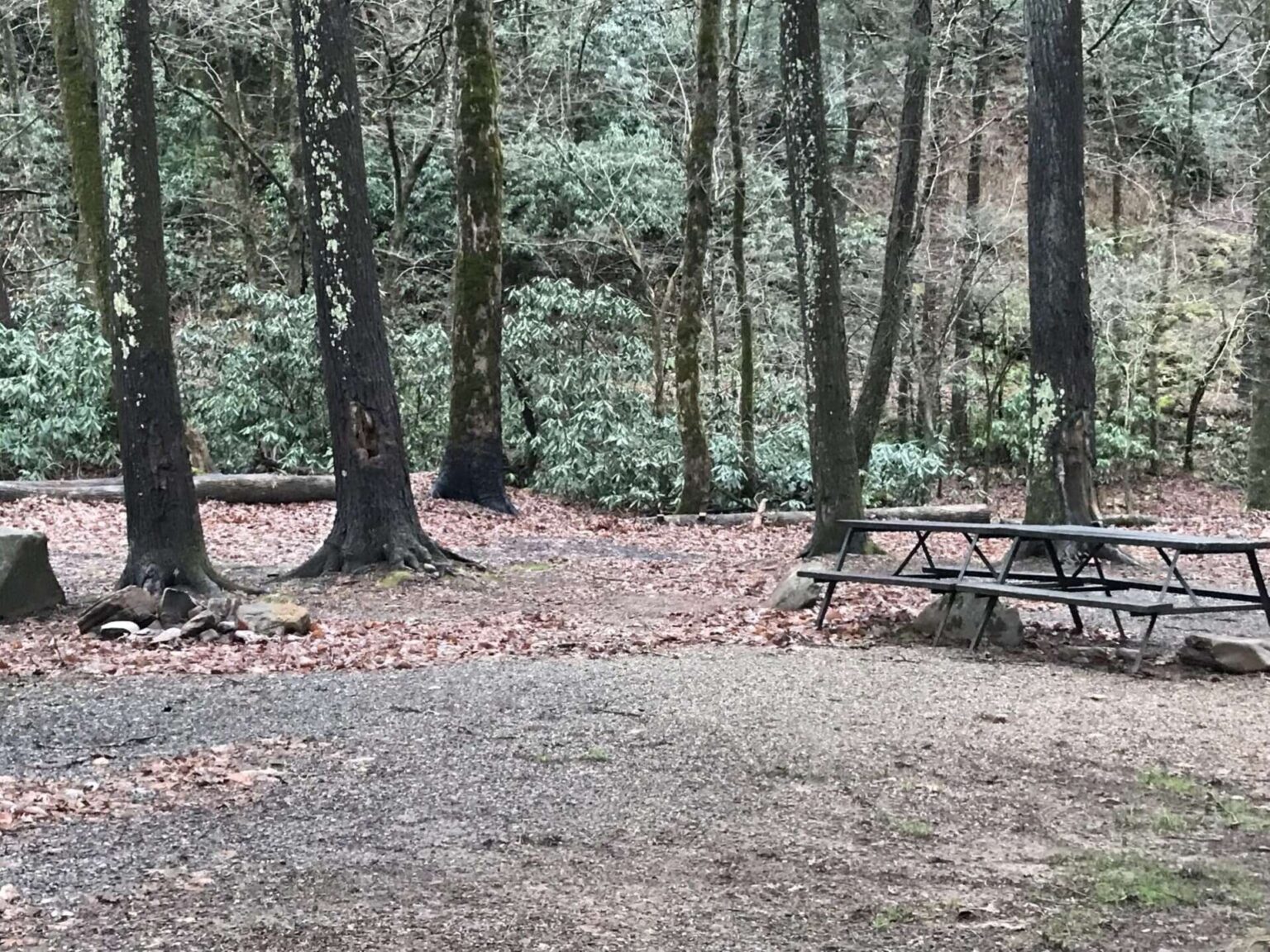 Cherokee Family Adventure RV Resort