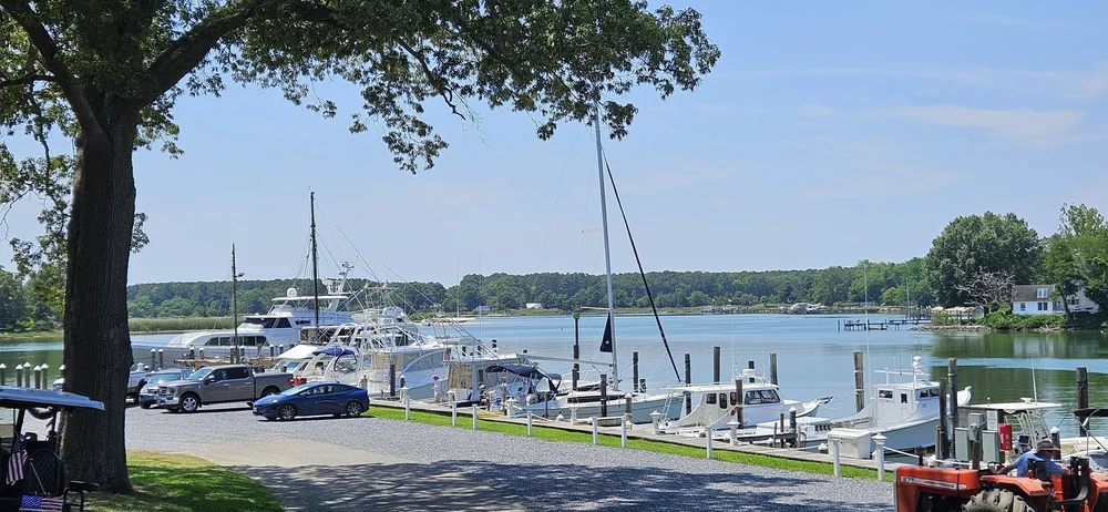 Dennis Point Marina and Campground