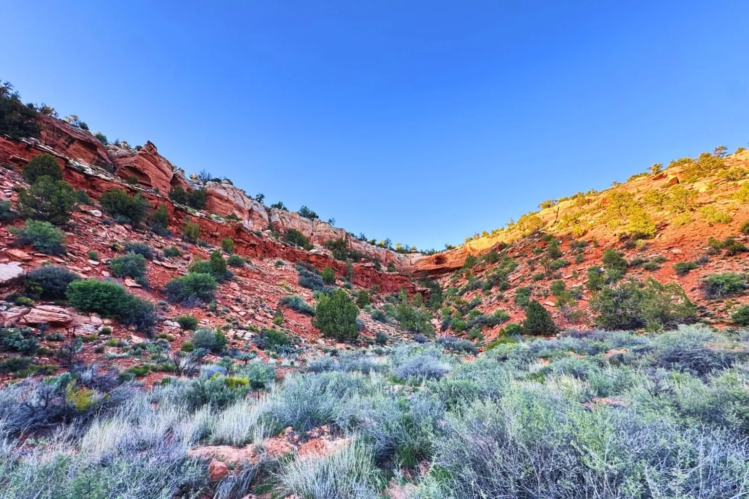 Desert Bloom Campground