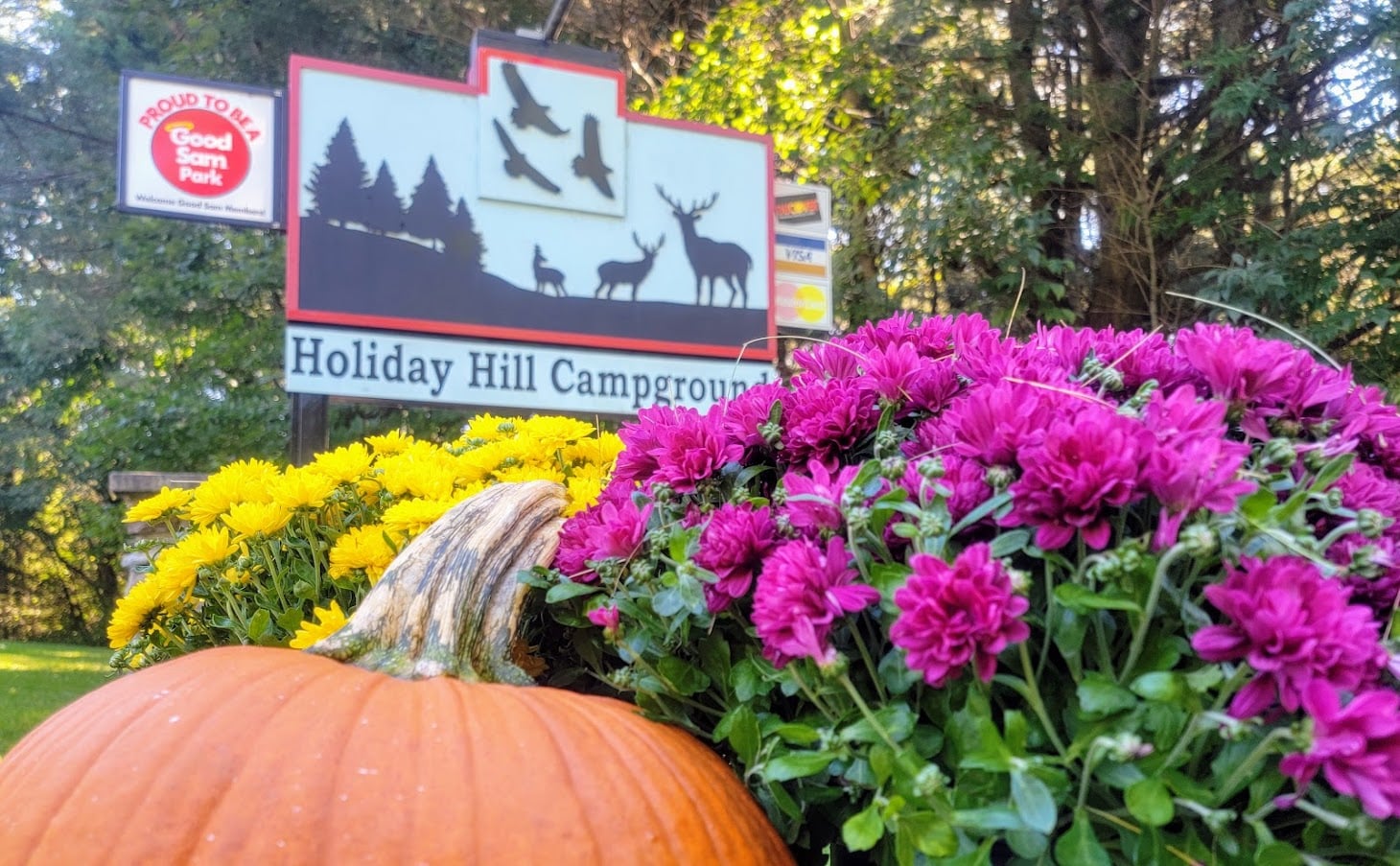 Holiday Hill Campground